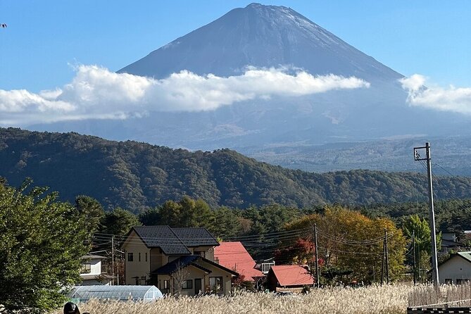 From Tokyo-Mt Fuji PVT 1 Day Customized Tour With English Driver - Driver and Experience