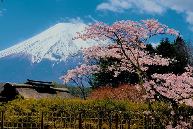 Fuji Hakone Cherry Blossom Private Tour - Booking Information