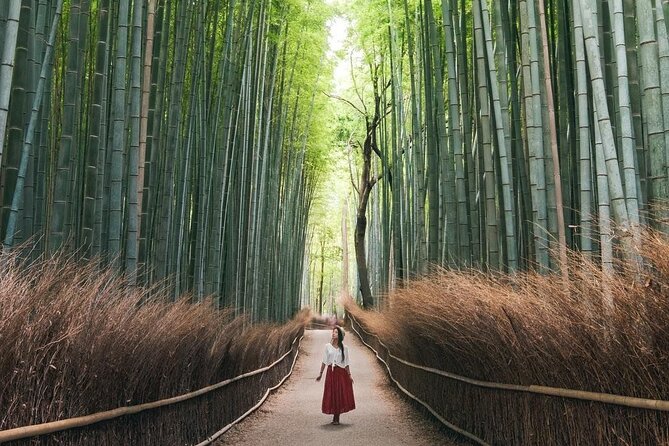 Guided Kyoto City Cherry Blossom One Day Private Tour - Feedback and Reviews