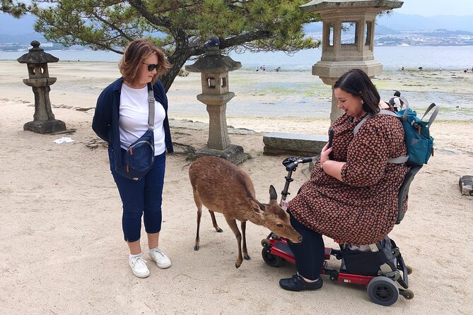 Hiroshima Highlights Private Day Tour - Meeting and Pickup