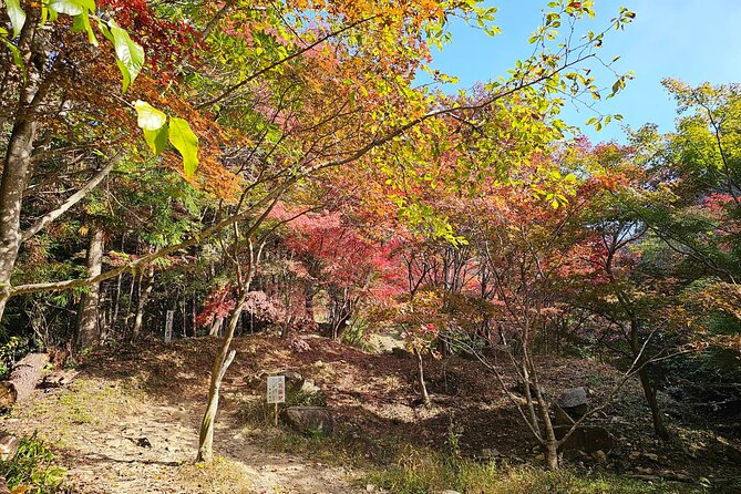 KAMOSU TABI The Sake Capital Saijo Wellness Tour - Booking Policies