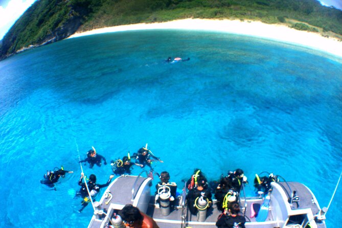 Kerama Islands Experience Dive/Snorkeling/Whale Watching Service - Kerama Islands Dive Experience