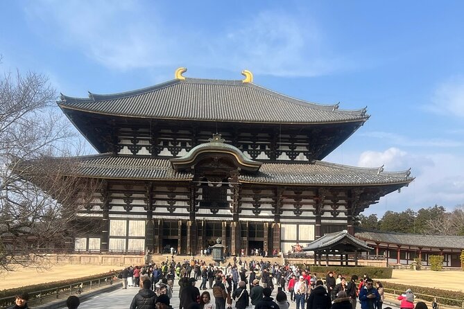 KYOTO and NARA Private Guided Tour With FREE ENTRANCE FEE - Reviews and Ratings