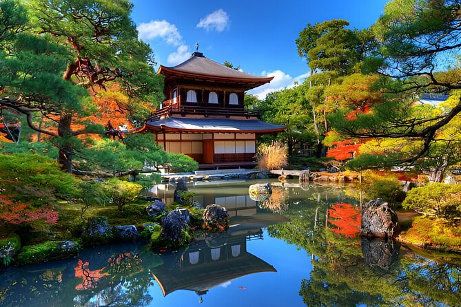Kyoto and Nara Private Trip - Highlights of the Tour