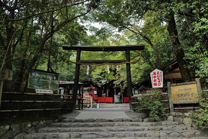 Kyoto Arashiyama Bamboo Forest Hidden Hiking Tour - Exploring the Bamboo Forest