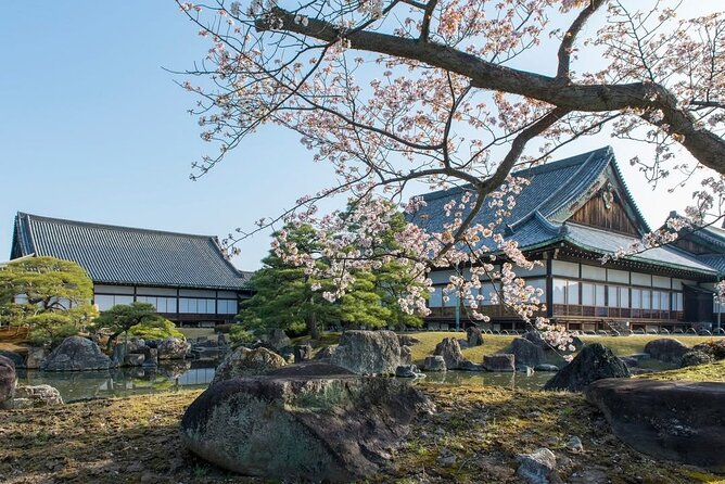 Kyoto Full Day Sightseeing Tour From Osaka or Kyoto - Cancellation and Payment Policy