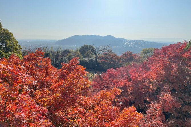 Kyoto Half Day Yamazaki Whisky Museum and Asahi Art Museum - Reviews and Ratings