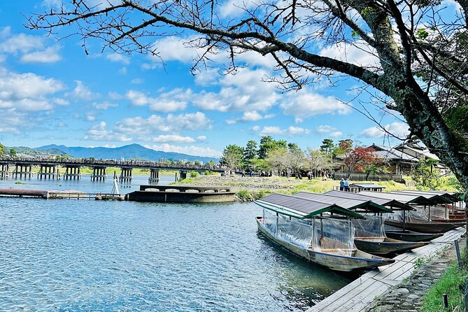 Kyoto Highlight Private Tour With English Speaking Driver - Visiting the Imperial Palace and Nijo Castle
