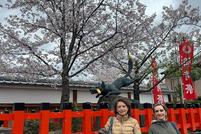 Kyoto Private Tour With an Officially Certified Guide - Tour Company Background and Reputation