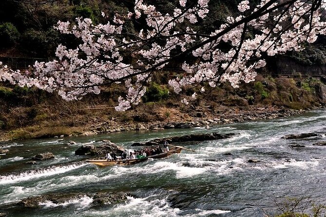 Kyoto Sagano Romantic Train With Cherry Blossoms Bus Tour - Schedule Changes and Factors