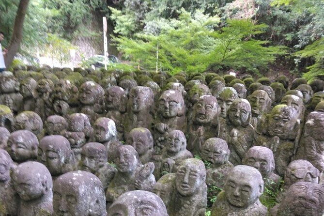 Kyoto Sakura & Hidden Gems of Timeless Tradition - Lunch and Dining Experience