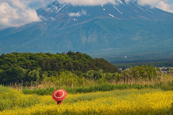 Majestic Mount Fuji: Exclusive Private Day Tour - Customer Feedback