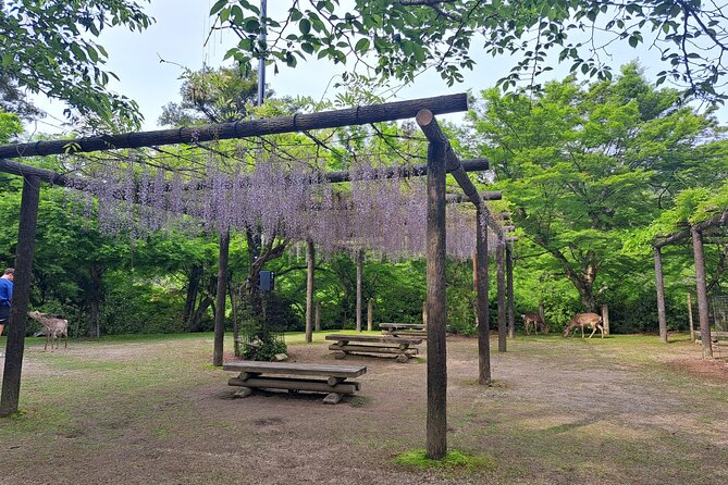 Miyajima UNESCO World Heritage Site Private Tour - Experiencing the Local Culture