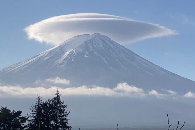 Mount Fuji and Hakone Day Trip With English Professional Guide - Reviews and Feedback