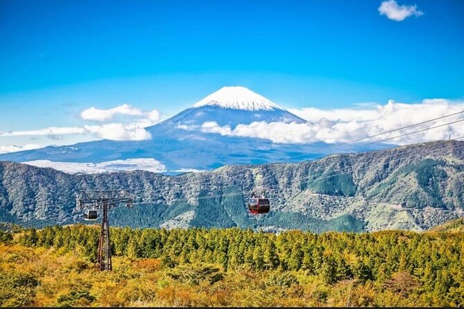 Mt. Fuji and Lake Kawaguchi Day Trip With Guide - Booking Details