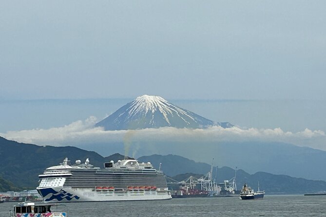 Mt.Fuji Area Tour From Shimizu Port /Sedan Taxi - Accessibility and Participation