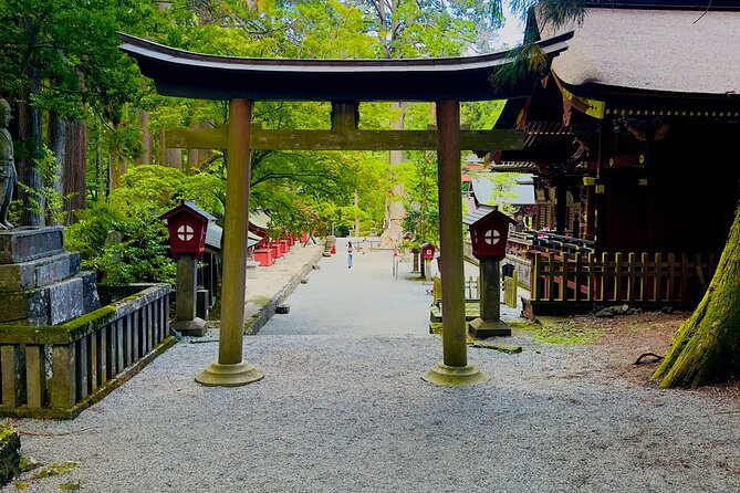 Mt. Fuji Cherry Blossom One Day Private Tour With Pickup - Reviews and Ratings