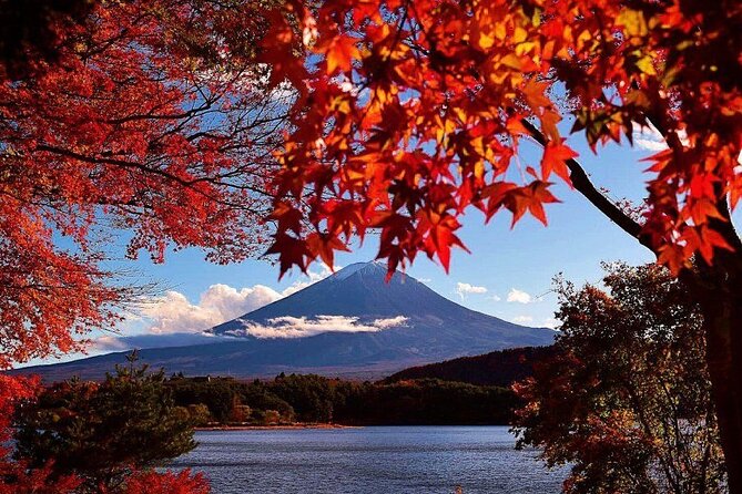 Mt Fuji, Panoramic Ropeway & Seasonal Fruits Picking - Transportation and Meeting Point