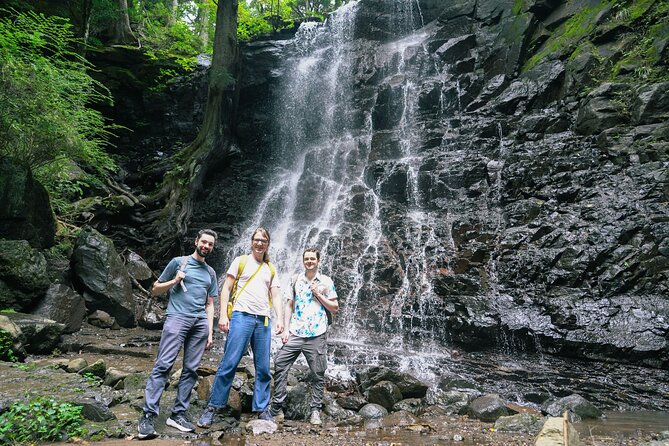 Mt. Fuji Private Chartered Tour With Nature & Wasabi Farm - Reviews