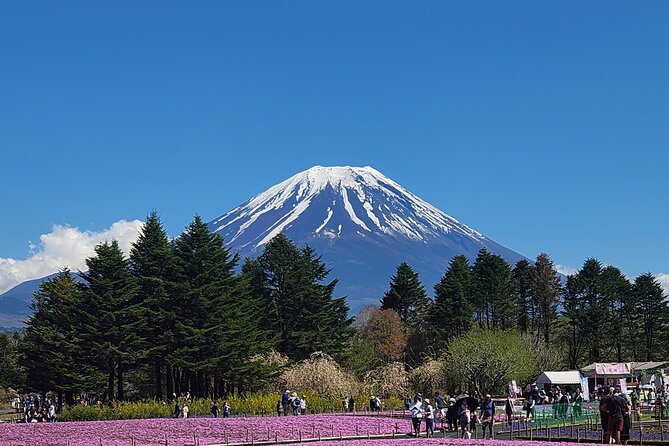 Mt Fuji Private Day Tour With English Speaking Driver - Itinerary of the Mt Fuji Day Tour