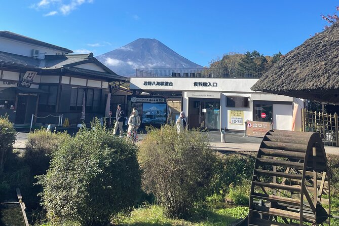 Mt Fuji Private Sightseeing Tour From Tokyo - Accessibility and Participation