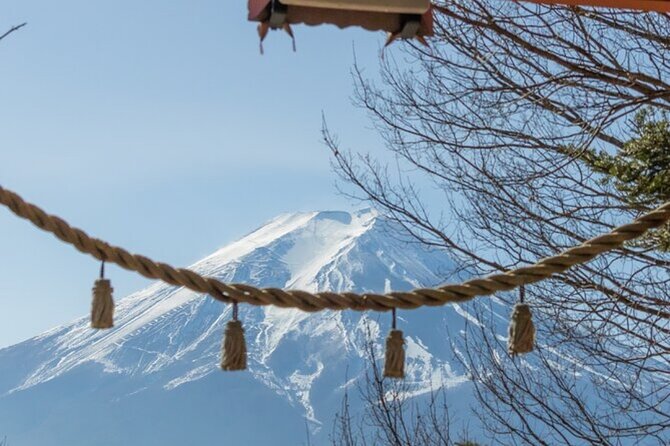 Mt. Fuji Private Tour From Tokyo With English Guide - Physical Fitness Level