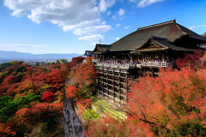Nara Private Tour With Pick and Drop and English Speaking Driver - Cancellation Policy and Reviews