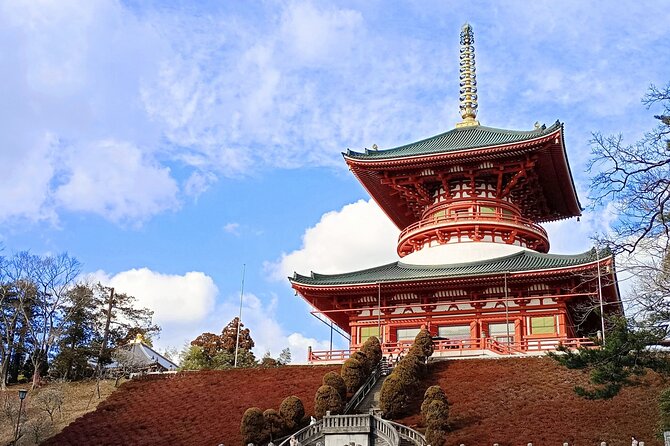 Narita Layover Tour With National Licensed Guide - Booking Information