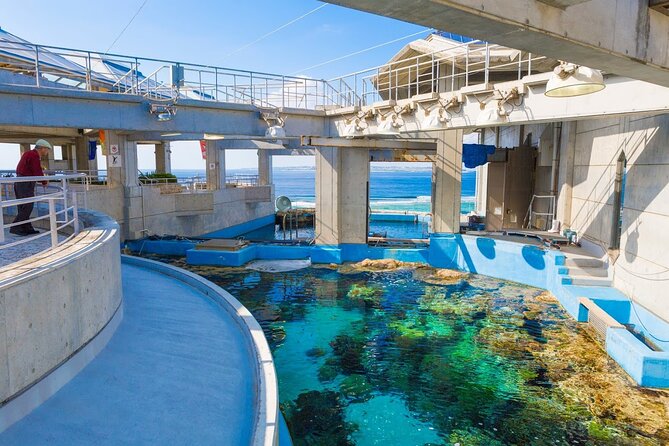 Okinawa Hip-hop Bus B Course Tour (Okinawa Churaumi Aquarium) - Pricing and Cancellation