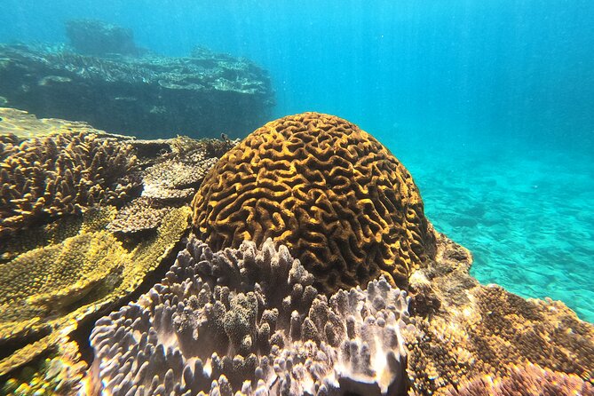 Okinawas Gorgeous Beach & Snorkel Tour: Private & Customised - Exploring Okinawas Stunning Beaches