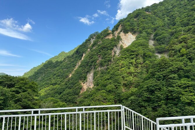 One Day Private Tour in Nikko From Tokyo - Itinerary