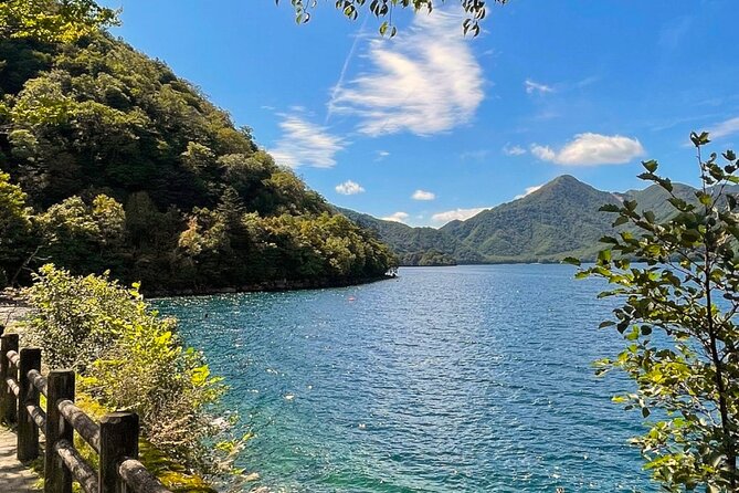 One Day Private Tour Nikko Tochigi by Car - Review and Ratings