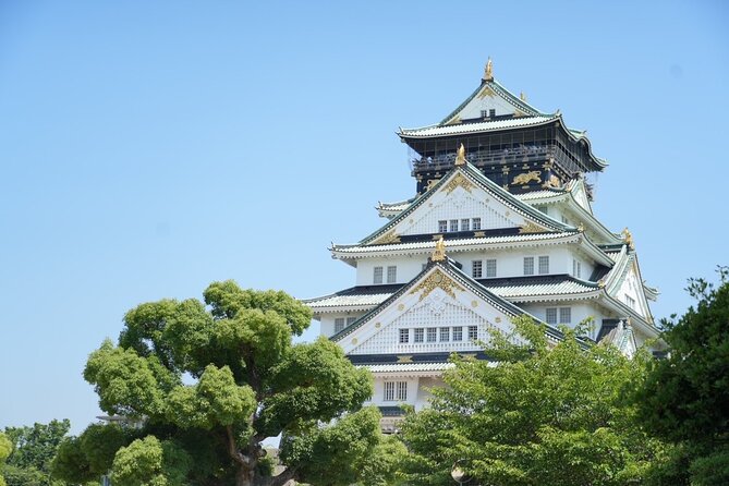 Osaka Castle Walking Tour - Tour Reviews and Ratings