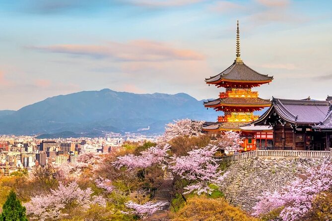 Osaka Kansai Airport to Kyoto City | Private Transfer - Baggage Policy