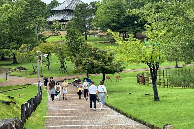 Osaka/Kyoto and Nara Private Tour With English Speaking Guide - Itinerary for the Day