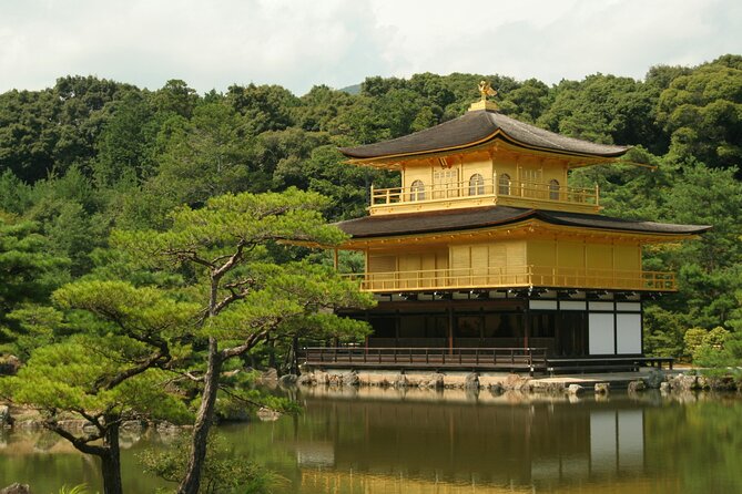 Osaka, Nara and Kyoto Day Trip With English Speaking Driver - Included Amenities