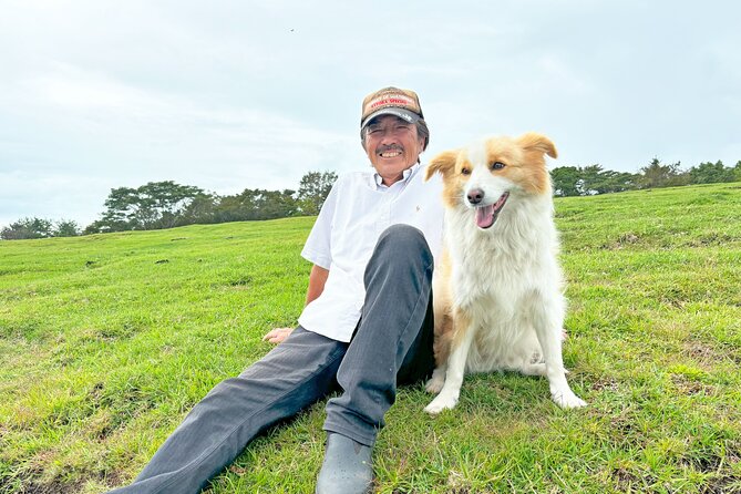 Pasture Hike With Horse Whisperer at Horse Trust in Kagoshima - Connecting With the Horse Whisperer