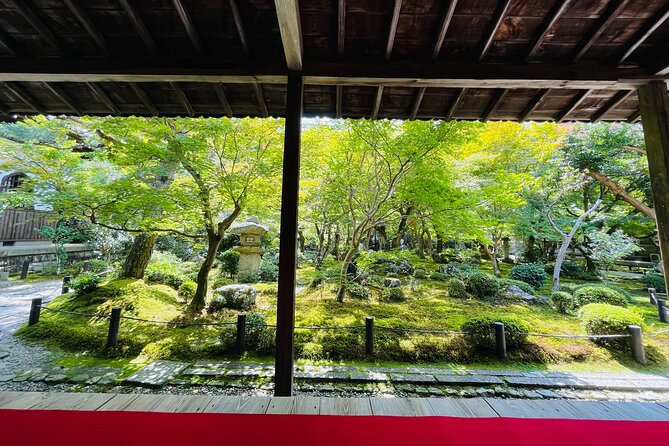 Pedal Adventure Kyoto E-Bike Tour : True Kyoto Avoid the Crowds - Customer Feedback