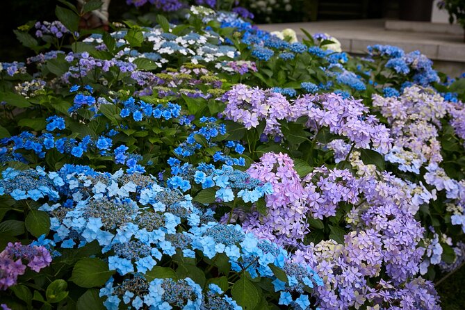 Private Car Tour to See Highlights of Kamakura, Enoshima, Yokohama From Tokyo - Experiencing Yokohamas Vibrant Waterfront