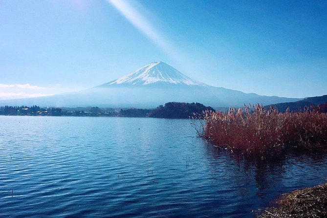 Private Custom Tokyo Tour VIP - Meet Your Expert Guide