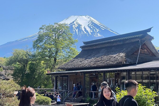 Private Guided Tour at Mount Fuji Majesty - Reviews and Feedback