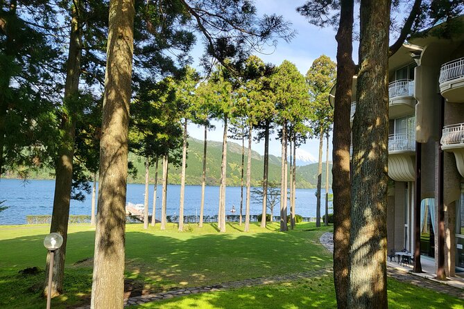 Private Hakone Tour From Tokyo - Customization and Flexibility