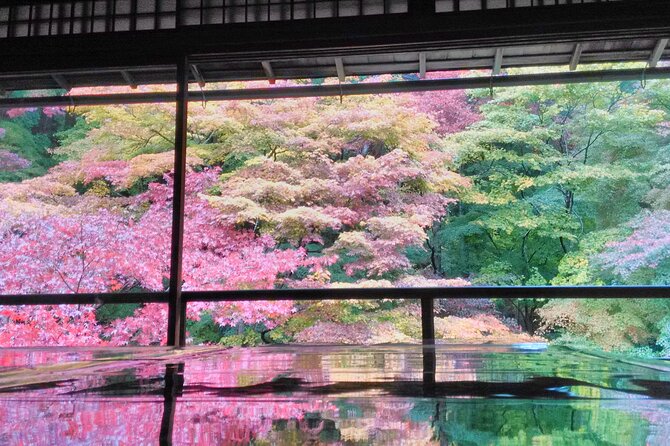 Private Kyoto With Exceptional Guide Tailored to Your Needs - Reviews and Ratings