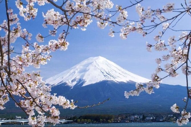 Private Sightseeing Full Day to Mt Fuji and Hakone - Highlights From Reviews