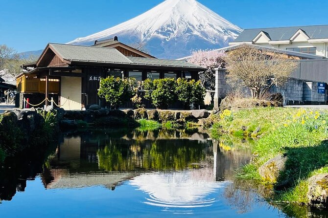 Private Sightseeing to Mt Fuji and Hakone With English Driver - Highlights of the Mt Fuji and Hakone Tour