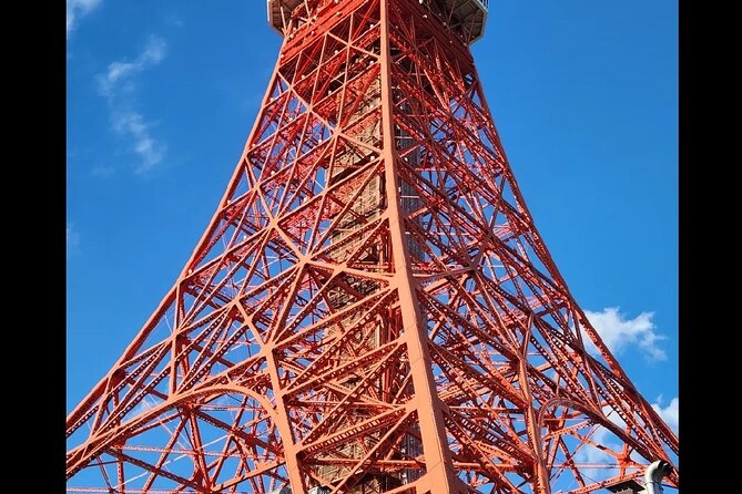 Private Tokyo City Tour With English Speaking Driver - Customizing Your Tour