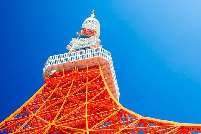 Private Transfer for Custom Day Tour in Tokyo - Tour Details