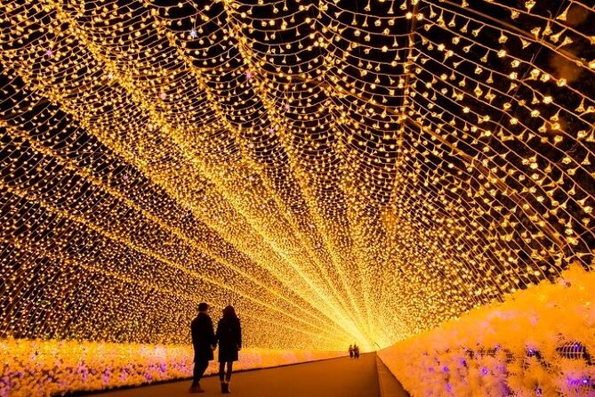 Sakura Magic and Nabana No Sato Day Tour From Osaka - Health and Accessibility