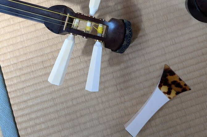 Shamisen Discovery in Kyoto - Participation Details