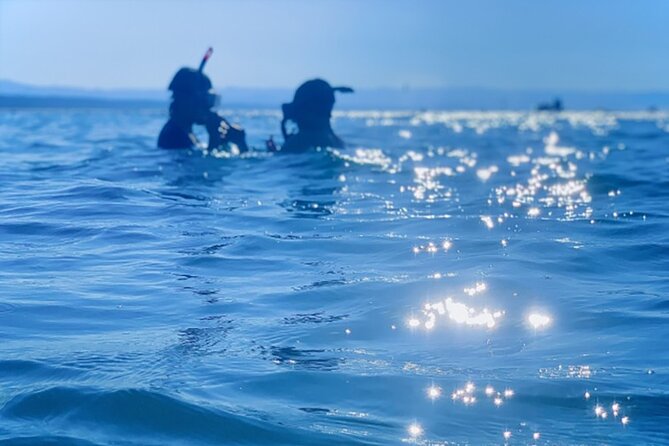 Shimoda Local Guide - Transportation and Accessibility